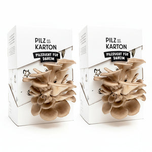 Aktionspaket Pilze im Karton (Bundle)
