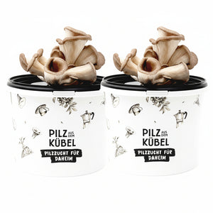 Aktionspaket Pilze aus dem Kübel (Bundle)